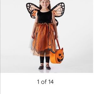 Pottery barn costume monarch butterfly costume